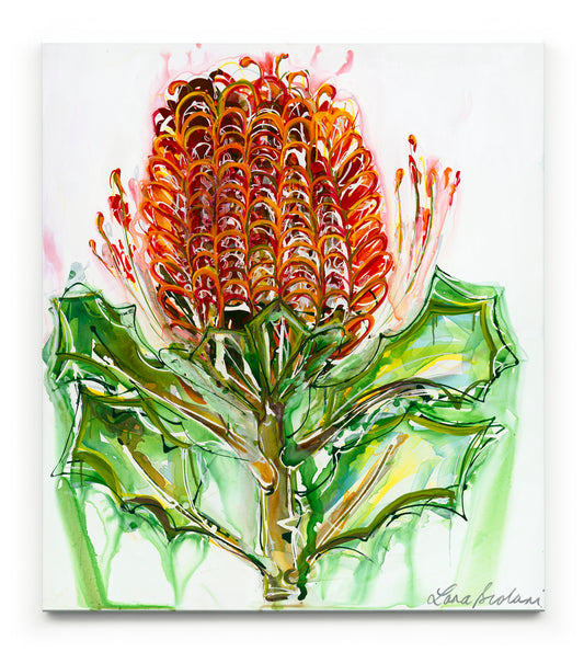 Banksia I